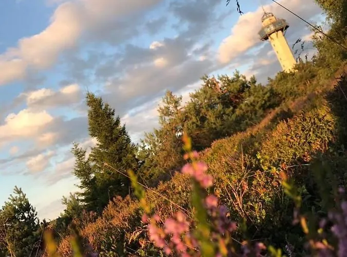 Pistenblick Willingen (Upland)