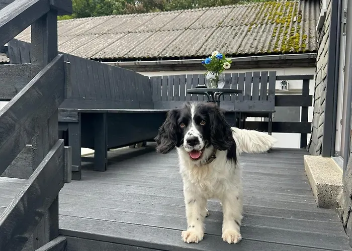 Pistenblick Lejlighed *